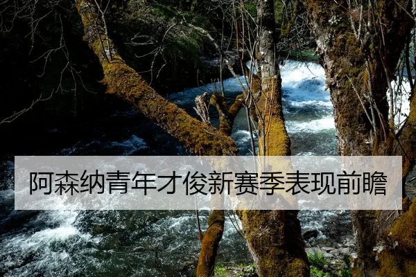 阿森纳青年才俊新赛季表现前瞻